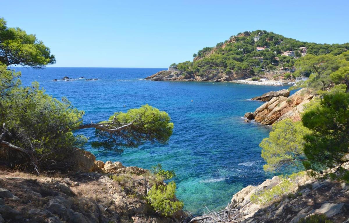 Un Nid A Saint Tropez Apartment Ngoại thất bức ảnh